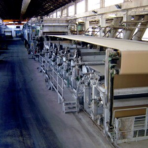 Cardboard – view 4